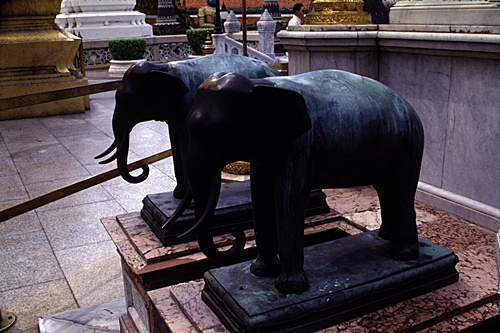 �Ѵ�������ѵ���ʴ���� &nbsp; (-)