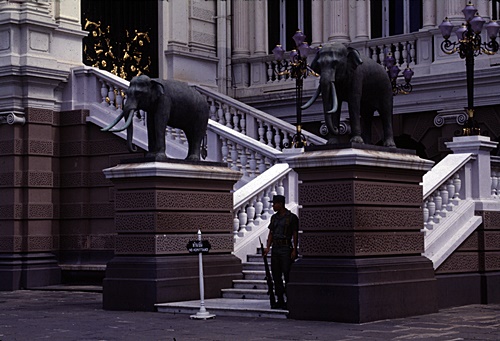 �Ѵ�������ѵ���ʴ���� &nbsp; (-)