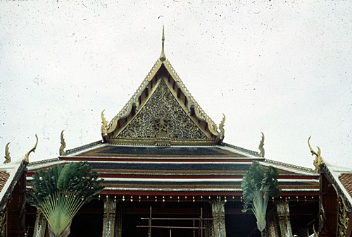 �Ѵ�������ѵ���ʴ���� &nbsp; (-)