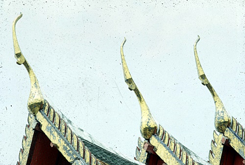 �Ѵ�������ѵ���ʴ���� &nbsp; (-)