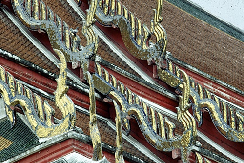 �Ѵ�������ѵ���ʴ���� &nbsp; (-)