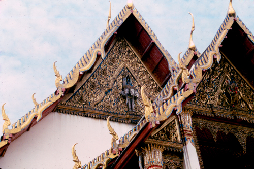 ������ʶ�Ѵ�ط�ȹ��