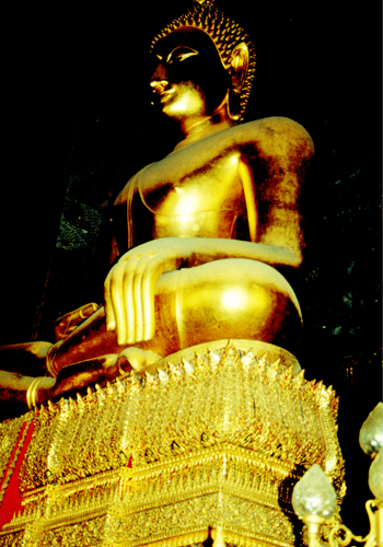 ��л�иҹ�������ҡ��ع� �Ѵ�ط�ȹ��