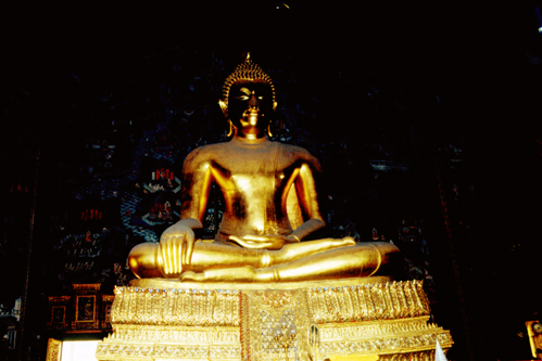 ��л�иҹ�������ҡ��ع� �Ѵ�ط�ȹ��