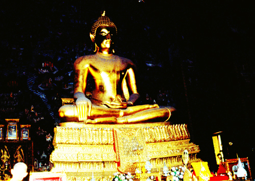 ��л�иҹ�������ҡ��ع� �Ѵ�ط�ȹ��