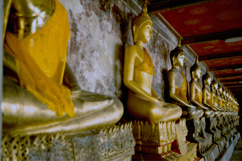 �������ä��Ѵ�ط�ȹ�