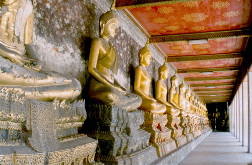 �������ä��Ѵ�ط�ȹ��