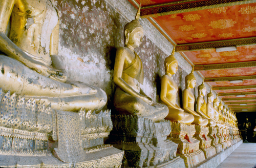 �������ä��Ѵ�ط�ȹ��