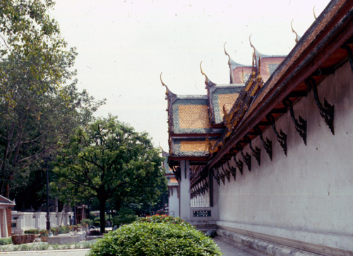 ����ǳ�Ѵ�ط�ȹ��