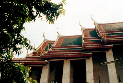 ������ʶ�Ѵ�ط�ȹ�