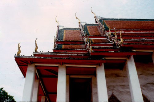 ������ʶ�Ѵ�ط�ȹ��