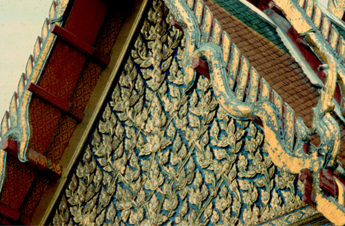 ������ʶ�Ѵ�ط�ȹ��