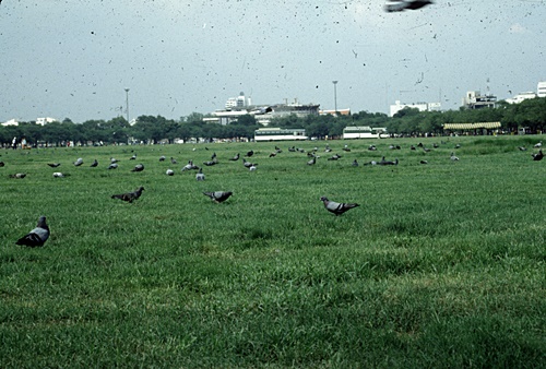 �Ѵ�Ҫ�Ѵ��������������к���ǳ͹���������кҷ���稾�й���������������� &nbsp; (-)