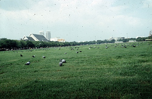 �Ѵ�Ҫ�Ѵ��������������к���ǳ͹���������кҷ���稾�й���������������� &nbsp; (-)