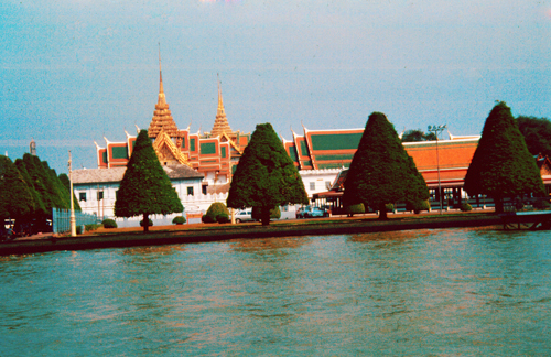 ����Ҫ�ô�ɰ�