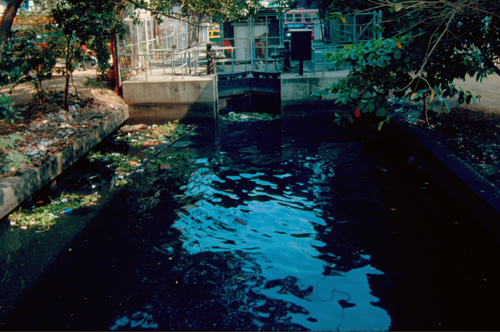 ��ͧ�к�¹��