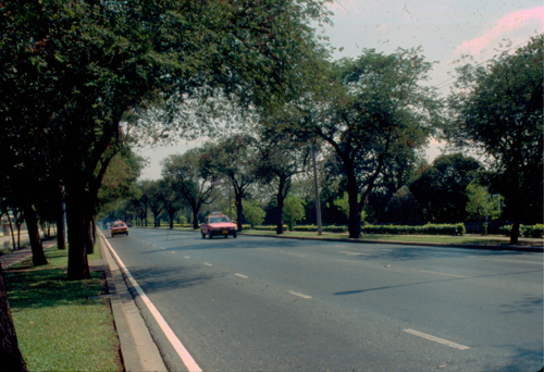 �����������㹡�ا෾�