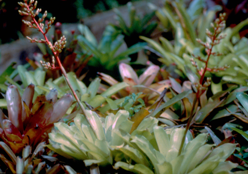 �������ǹ�Ҹ�ó�