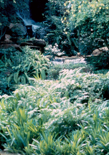 �������ǹ