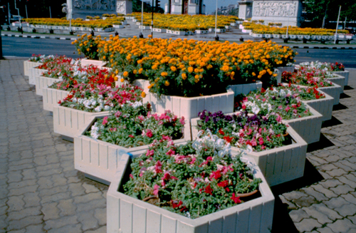 ���͡����дѺ