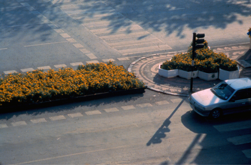 ���͡����дѺ