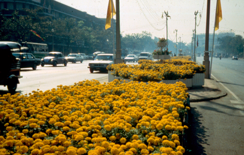 ���͡����дѺ