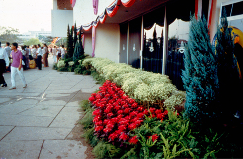 ���͡����дѺ