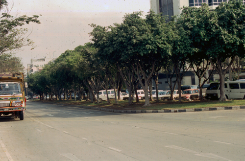 ���������С�ҧ���