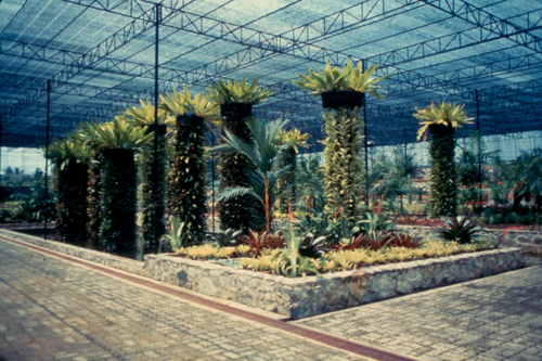 ����дѺ����