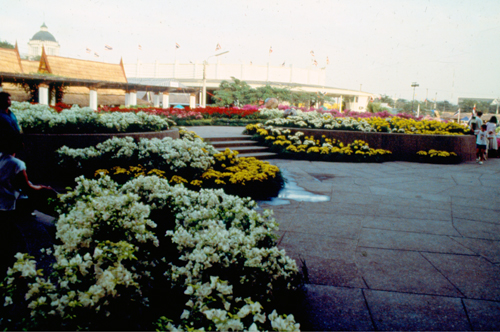 ���͡����дѺ