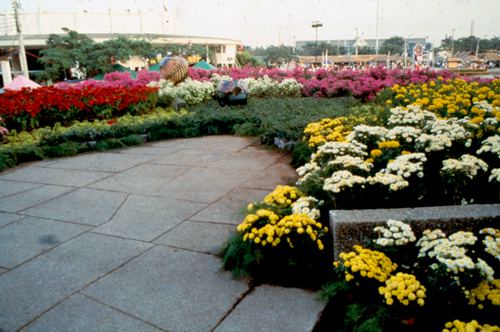 ���͡����дѺ