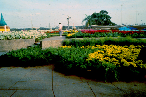 ���͡����дѺ