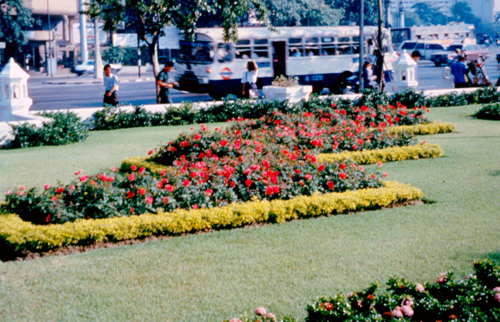 ���͡����дѺ