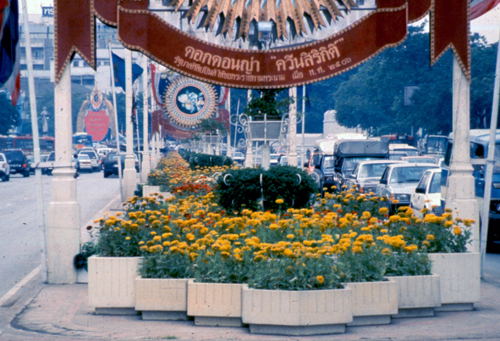 ���͡����дѺ