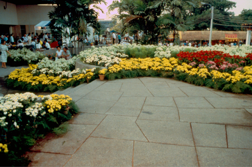 ���͡����дѺ