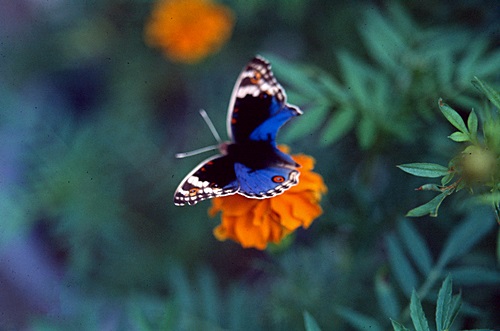 ������ͷ���ǹ������ͻչѧ &nbsp; (-)