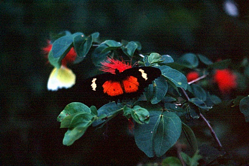 ������ͷ���ǹ������ͻչѧ &nbsp; (-)