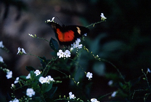 ������ͷ���ǹ������ͻչѧ &nbsp; (-)