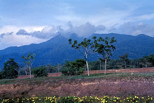 ���Է�ȹ���лչѧ ������������ &nbsp; (-)