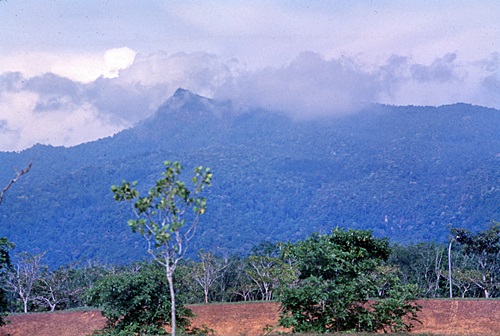 ���Է�ȹ���лչѧ ������������ &nbsp; (-)