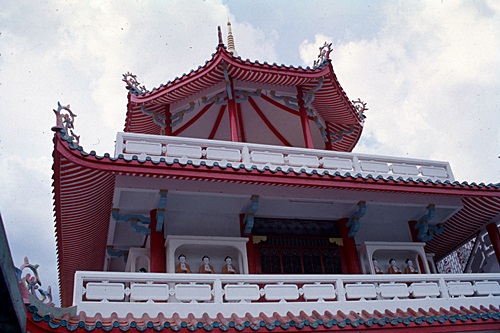 ���Է�ȹ���лչѧ ������������ &nbsp; (-)