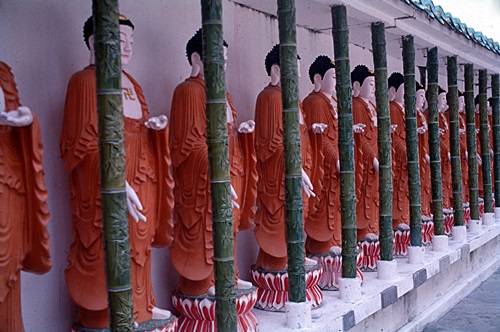 �ٻ�ѹ��� ��лչѧ ������������ &nbsp; (-)