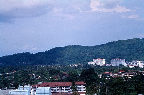 ���Է�ȹ���лչѧ ������������ &nbsp; (-)