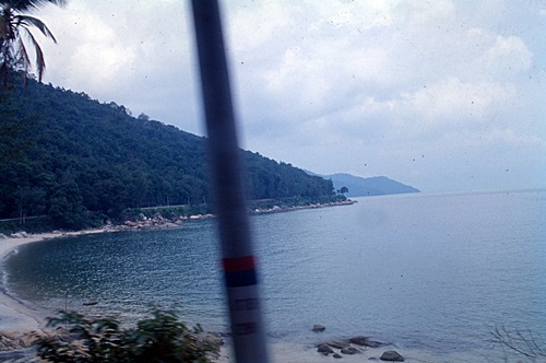 ���Է�ȹ���лչѧ ������������ &nbsp; (-)