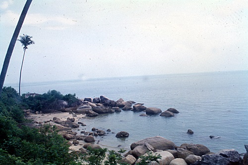 ���Է�ȹ���лչѧ ������������ &nbsp; (-)