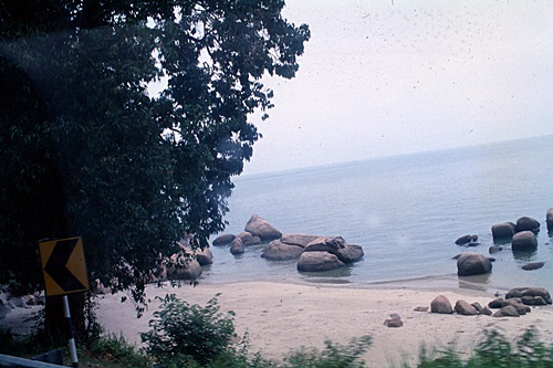 ���Է�ȹ���лչѧ ������������ &nbsp; (-)