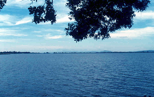 สงวนลิขสิทธิ์โดย</strong> ห้องสมุด ศ.ม.จ.สุภัทรดิศ ดิศกุล