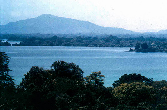 สงวนลิขสิทธิ์โดย</strong> ห้องสมุด ศ.ม.จ.สุภัทรดิศ ดิศกุล