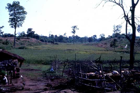 สงวนลิขสิทธิ์โดย</strong> ห้องสมุด ศ.ม.จ.สุภัทรดิศ ดิศกุล