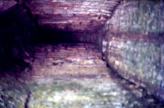 สงวนลิขสิทธิ์โดย</strong> ห้องสมุด ศ.ม.จ.สุภัทรดิศ ดิศกุล